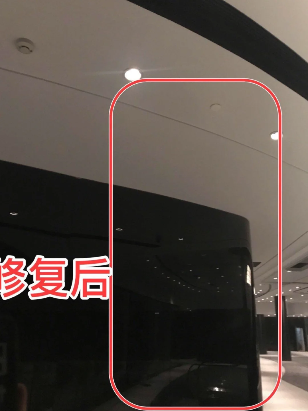 1745148424098.webp